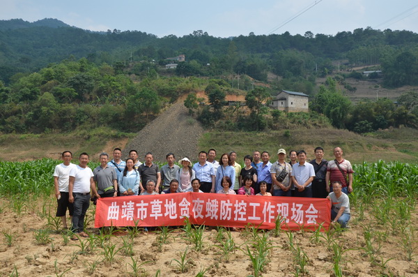 全市植保系統(tǒng)實地調(diào)查
