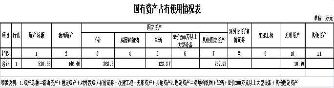 國(guó)有資產(chǎn)占有使用情況表