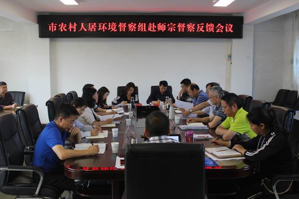 反饋會議