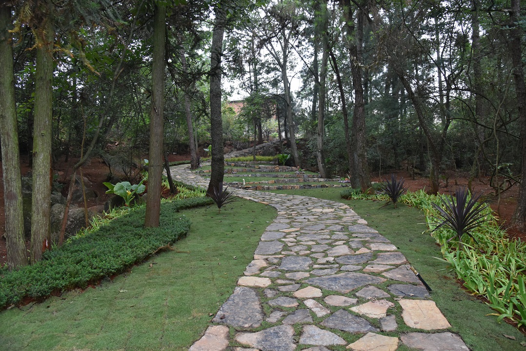 圖六，冒水洞村林間步道景觀.JPG
