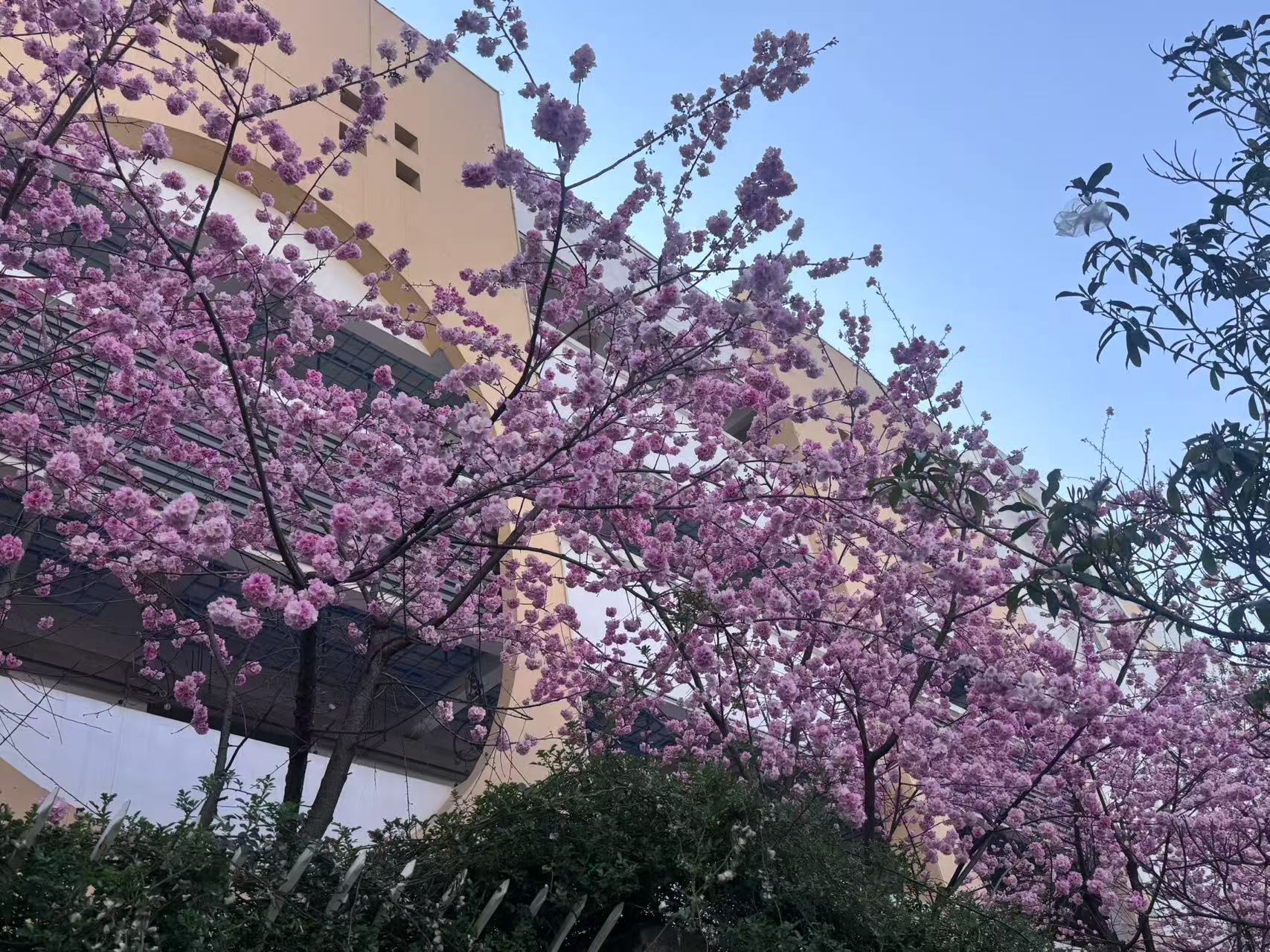 微信圖片_20250401085754.jpg